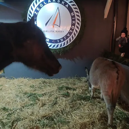 Ubytování v soukromí Na Krotkiej Aja