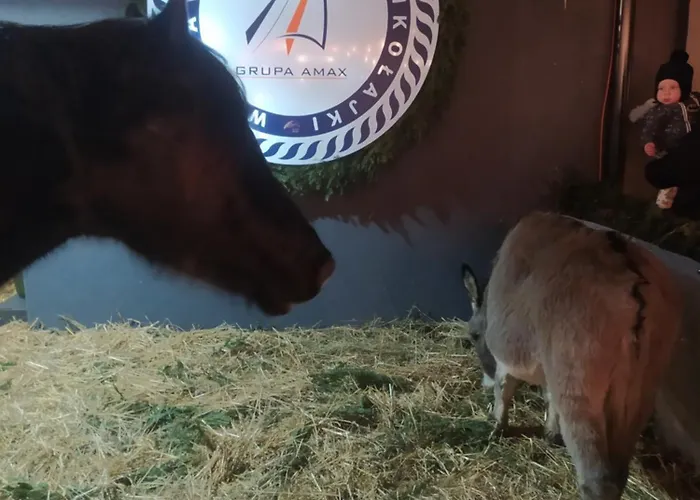 Ubytování v soukromí Na Krotkiej Aja